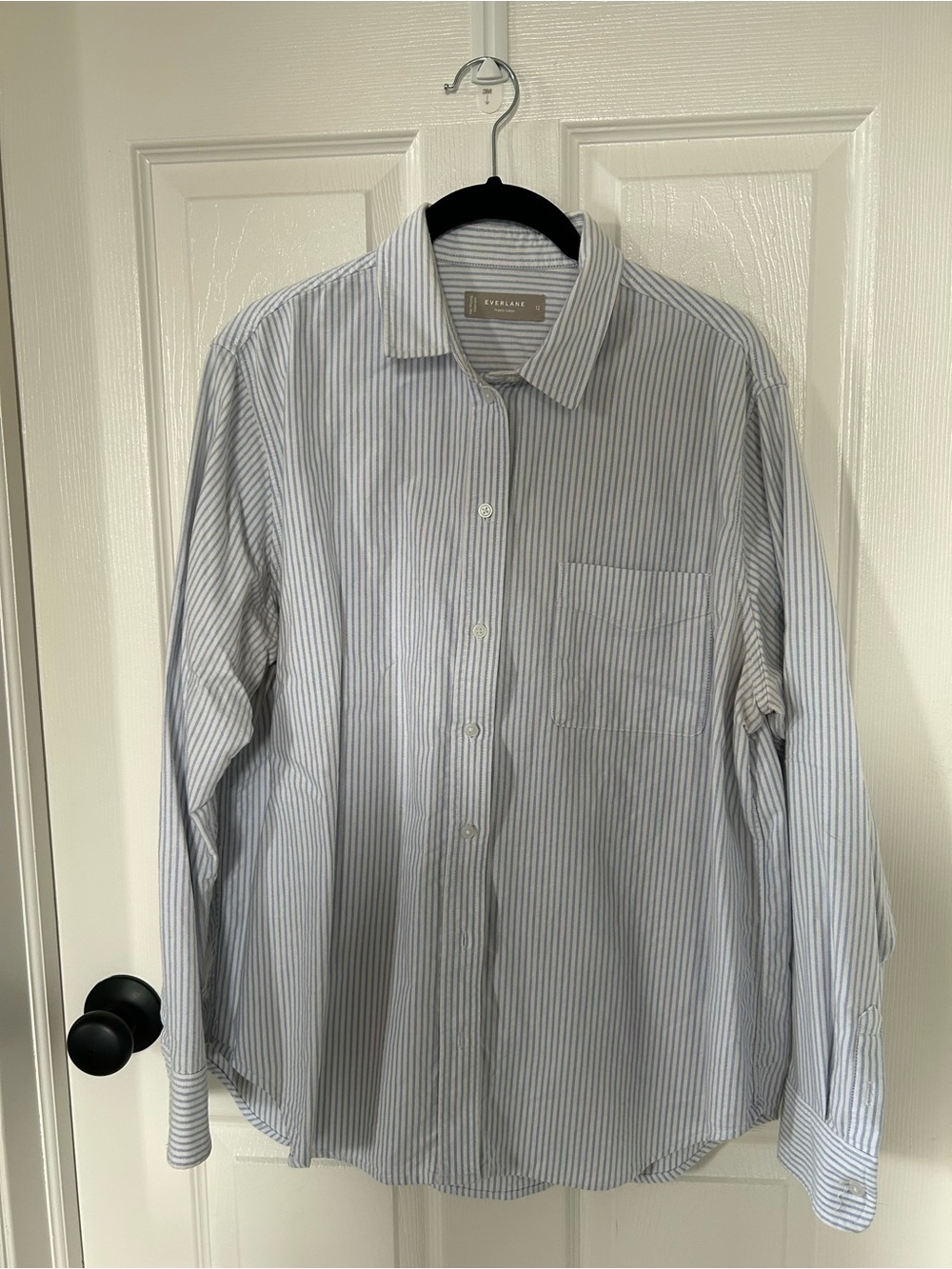 Everlane Women’s Blue Stripe Button-Up Shirt